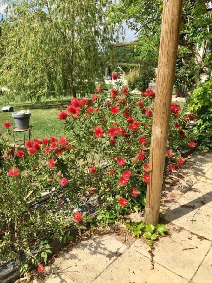 La Vignarelle Acomodação com café da manhã Callas Exterior foto